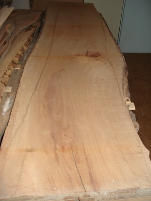 grume poirier-1.JPG