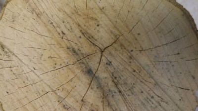 20180308_150403.jpg