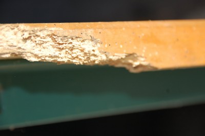 DSC_0005.JPG