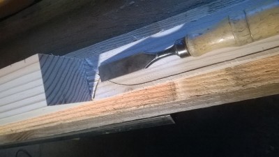 WP_20181129_008.jpg