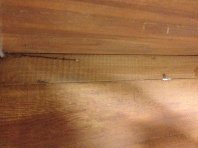 image2(7).JPG