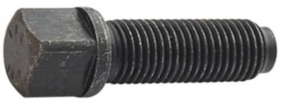T08.jpg
