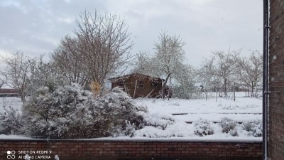 IMG_20210406_114719.jpg