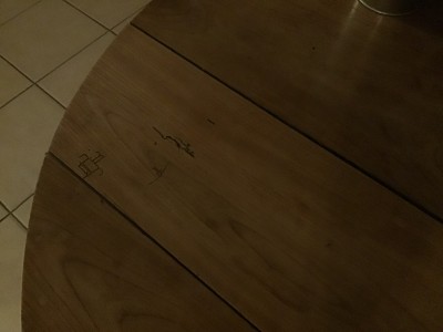 C0EBD486-DE55-46D4-9970-45F312CCF796.jpeg