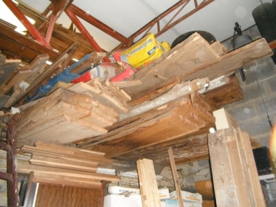 DSCF0612 - Chene et Hetre - 1-1991.JPG