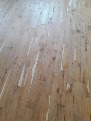Resized_20190801_104809.jpg