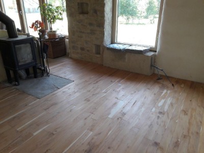 Resized_20190801_104748.jpg