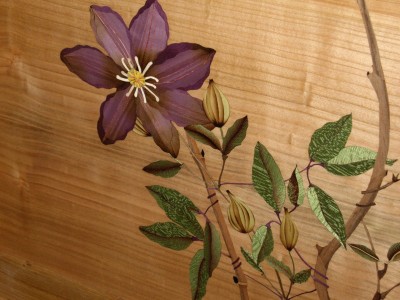 image16.jpeg