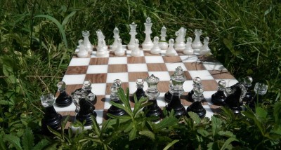 345868506_3380483235534182_7439941451360688736_n.jpg