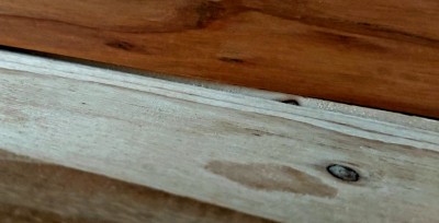 20230813_124606.jpg