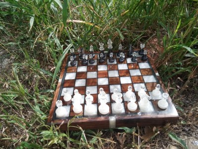375069806_695589632416806_6459528700329972319_n.jpg