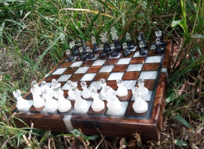374189692_695589935750109_4101192935075581230_n.jpg