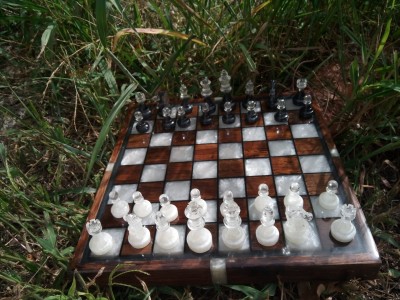 374259980_695590109083425_1146288538321125639_n.jpg
