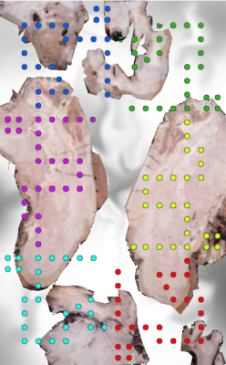 387413811_7328831207135409_7328287391181954603_n.png