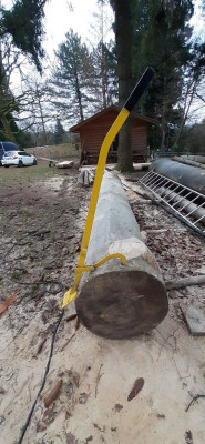 pied de biche troncs-1.jpg