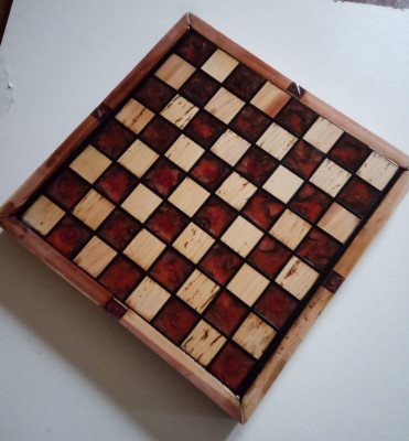 424775326_774438857865216_7538785913284144376_n.jpg