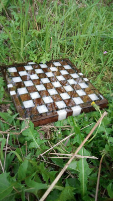 436393152_812109224098179_2402076163795881943_n.jpg