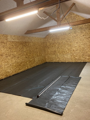 13112024-IMG_6663 3.jpg