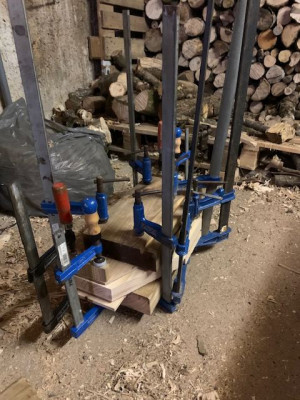 mors à la colle.jpg