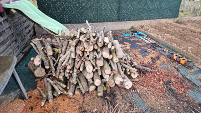 20260325_191255 - 1K JPEG.jpg