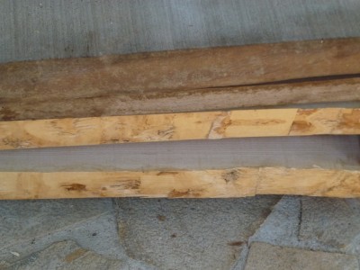 208088grosplanepnoyerfrene.jpg