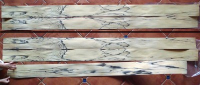 Ebene Blanc feuilles.jpg