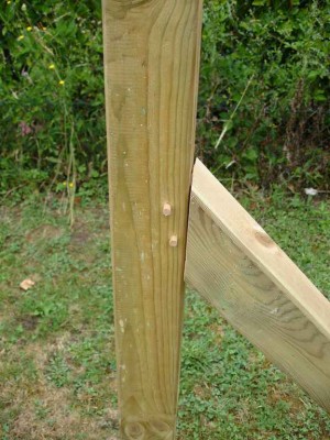 DSC03947 (Copier).JPG