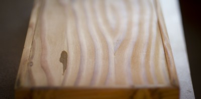 _1090338.jpg